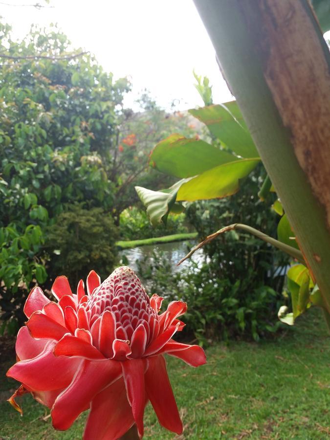 Rancho De Lelo Ecolodge Monteverde Екстериор снимка