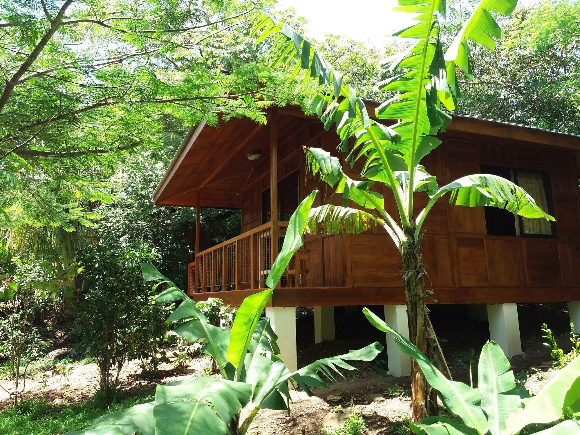 Rancho De Lelo Ecolodge Monteverde Екстериор снимка