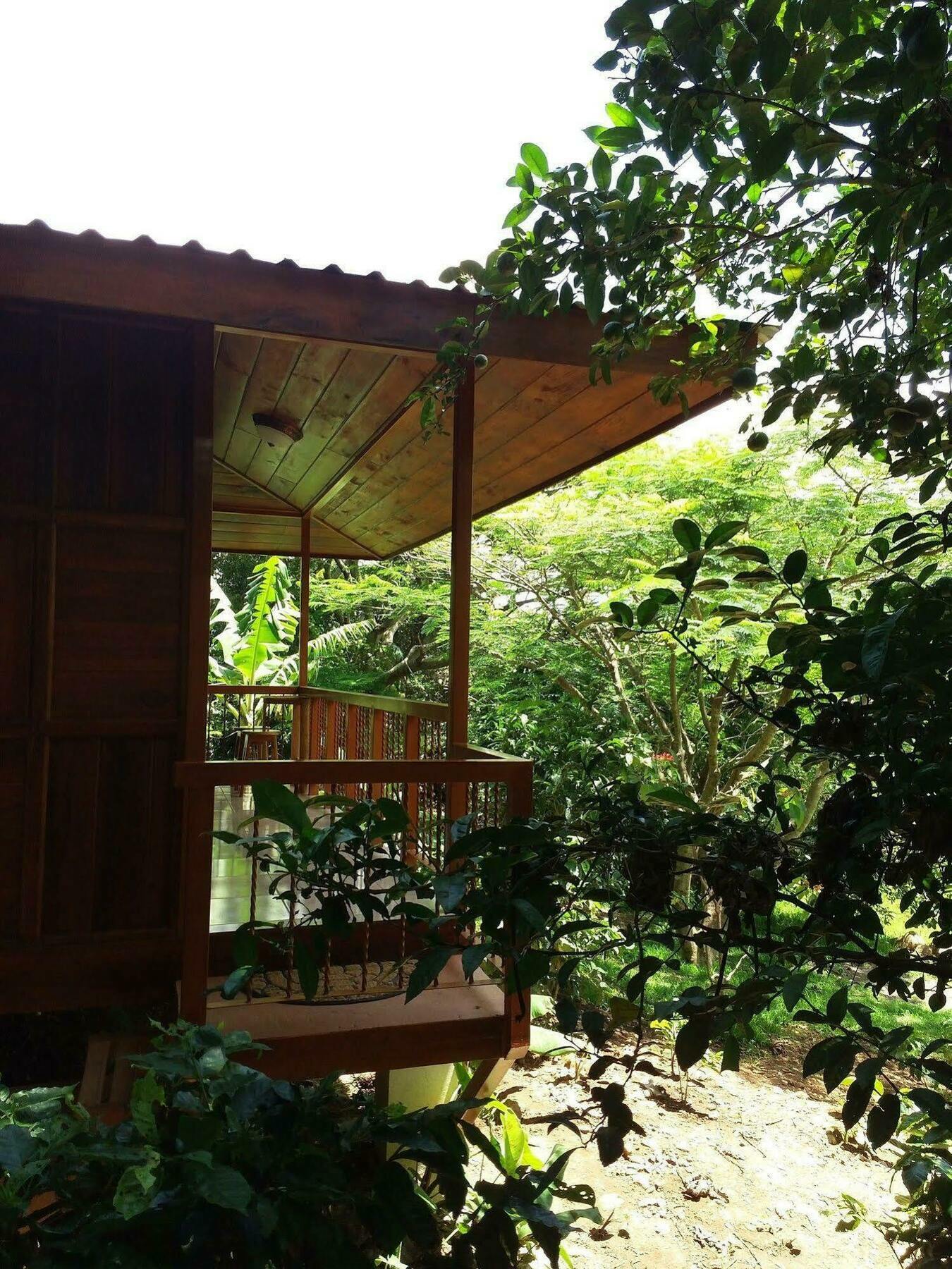 Rancho De Lelo Ecolodge Monteverde Екстериор снимка