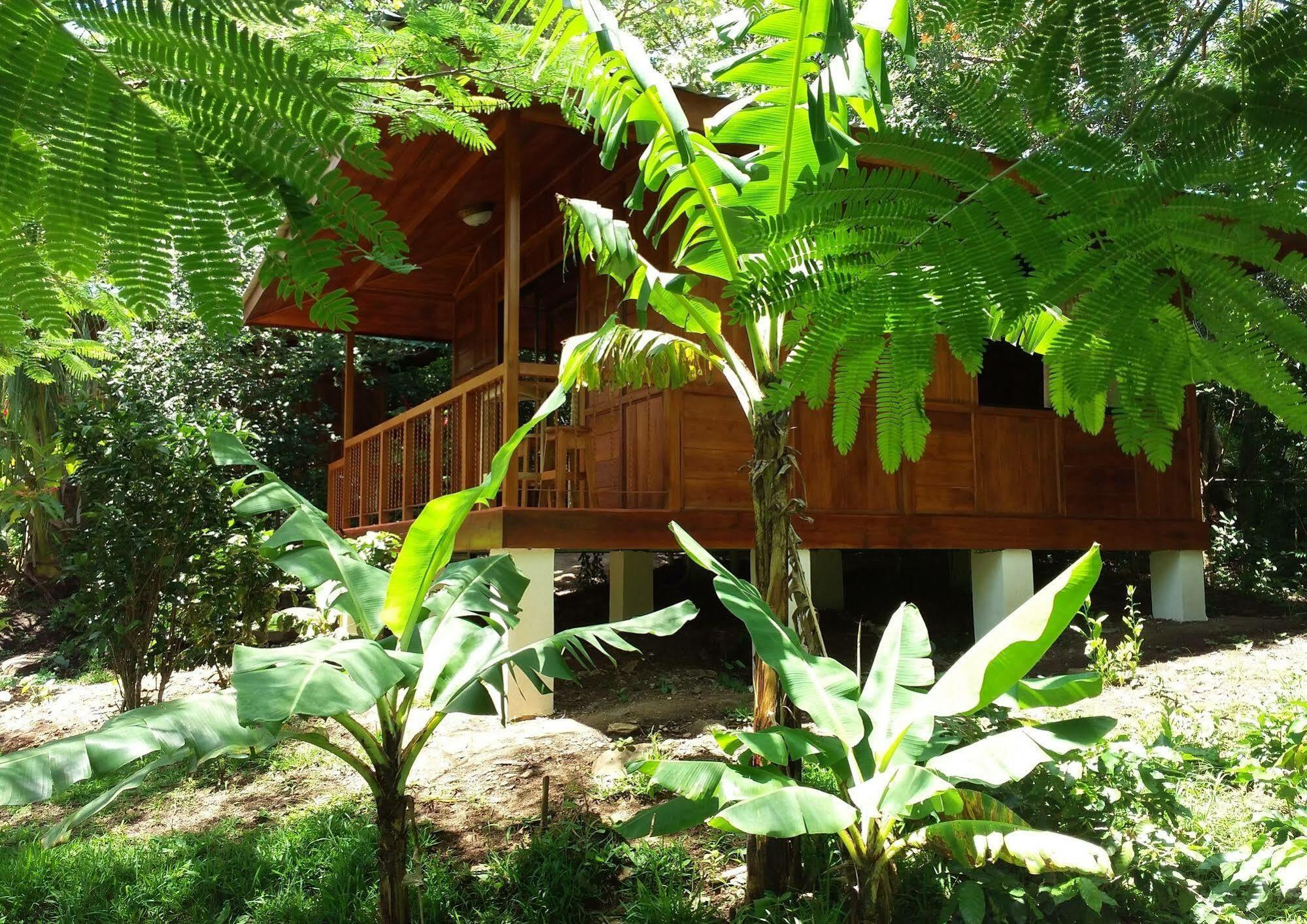 Rancho De Lelo Ecolodge Monteverde Екстериор снимка